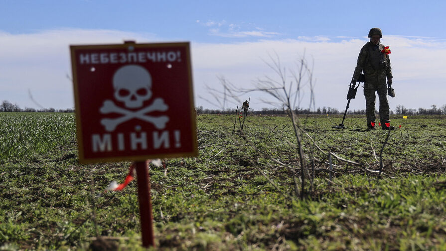 Американский историк заявил, что России не нужна территория Украины